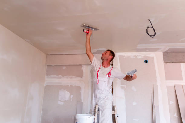 Best Touch-Up Painting Services  in Cheat Lake, WV